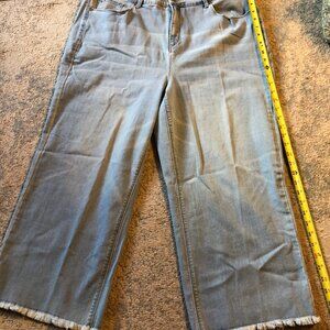 Susan Graver Wide Leg Plus Size Jeans